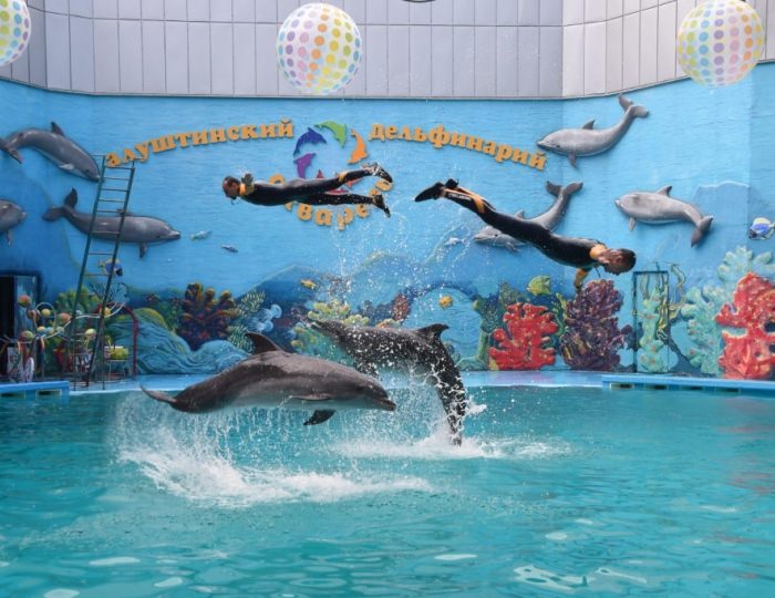 Услуги и развлечения